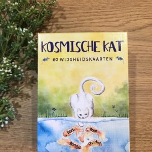 Kosmische kat kaarten deck