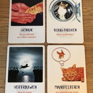 Kosmische kat kaarten deck - Afbeelding 3