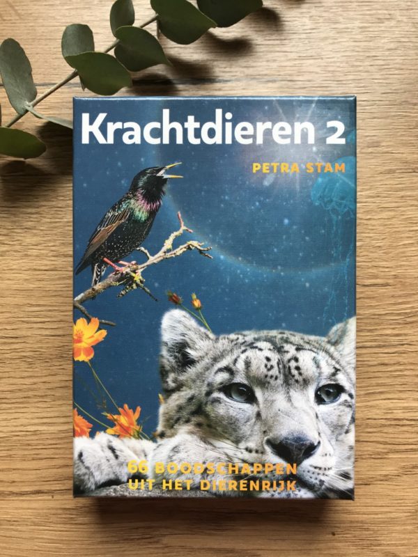 Krachtdieren kaarten deel 2