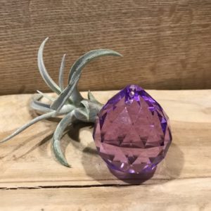 Regenboogkristal Bol Violet