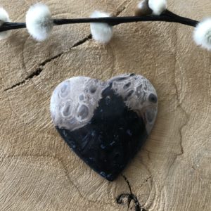 Versteend Hout Hart nr.2