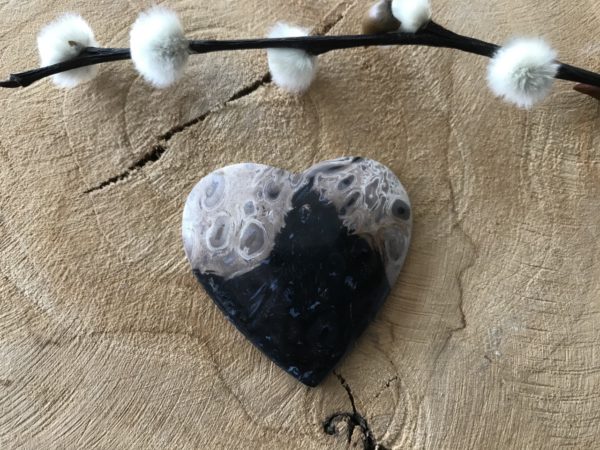 Versteend Hout Hart nr.2
