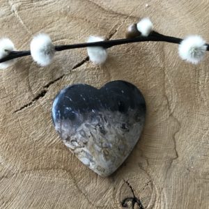 Versteend Hout Hart nr.3