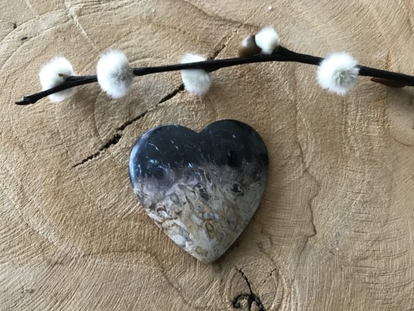 Versteend Hout Hart nr.3