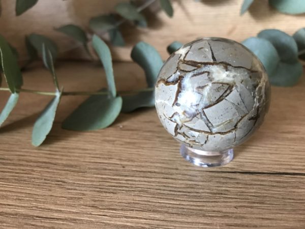 Septarie Bol