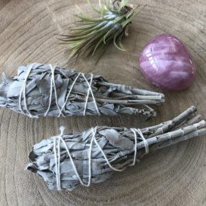 Salie Smudge Stick mini