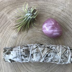 Salie Smudge Stick medium