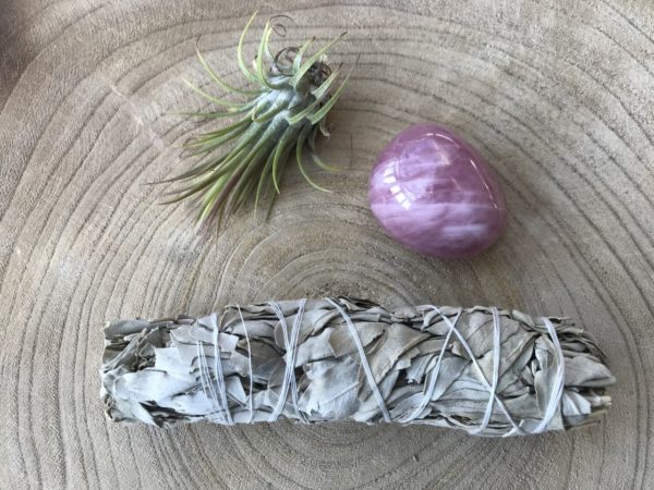 Salie Smudge Stick medium