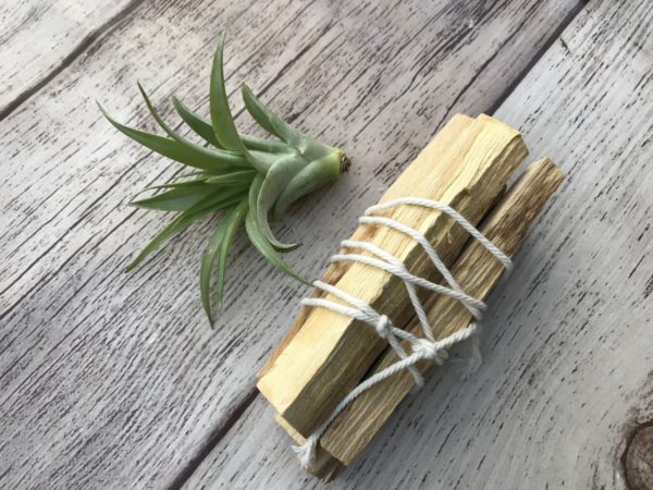 Palo Santo