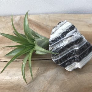 Zebra Calciet Ruw nr.2