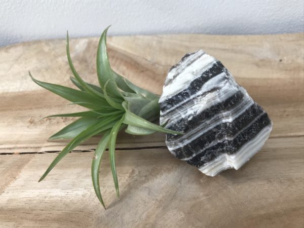 Zebra Calciet Ruw nr.2