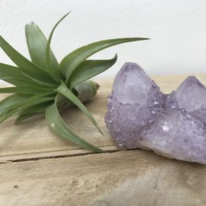 Spirit/Cactus Kwarts nr.4