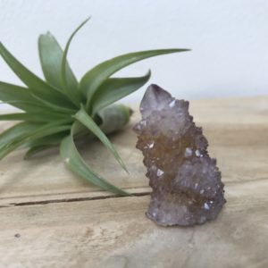 Spirit/Cactus Kwarts nr.2