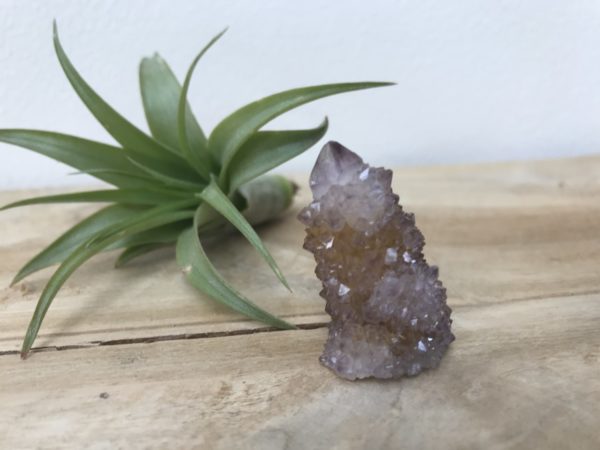 Spirit/Cactus Kwarts nr.2