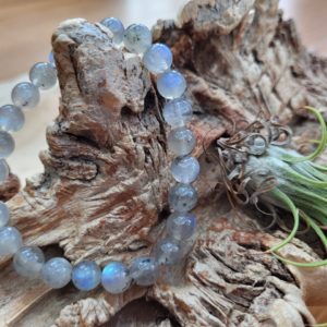 Armband Labradoriet AA kwaliteit 8 mm