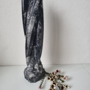 Orthoceras nr. 1