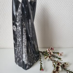 Orthoceras nr. 3