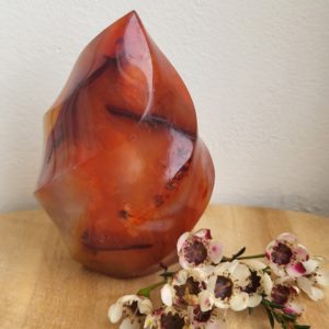 Carneool Vlam - Afbeelding 2