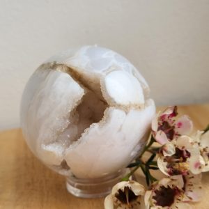 Witte pluim Agaat Bol nr.3