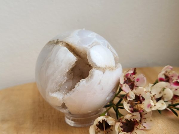 Witte pluim Agaat Bol nr.3