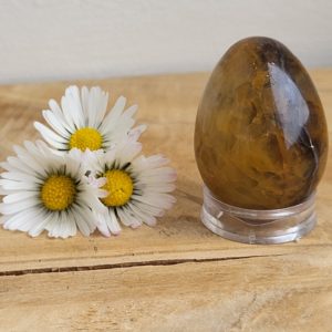 Golden Healer Eitje - Afbeelding 2