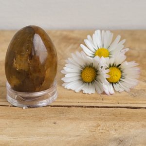 Golden Healer Eitje nr.1 - Afbeelding 2