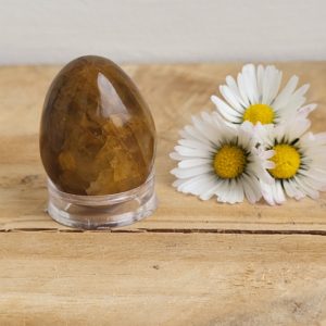 Golden Healer Eitje nr.1