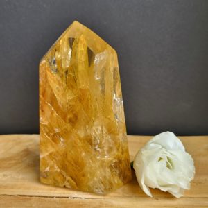 Golden Healer Punt nr.1 - Afbeelding 2