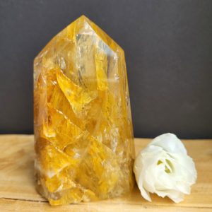 Golden Healer Punt nr.1