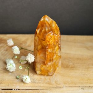 Golden Healer Punt nr.3 - Afbeelding 2