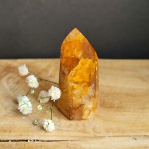 Golden Healer Punt nr.3 - Afbeelding 3