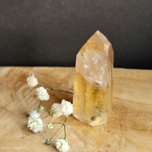 Golden Healer Punt nr.4 - Afbeelding 2