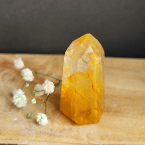 Golden Healer Punt nr.5 - Afbeelding 2
