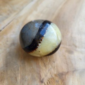 Septarie trommelsteen nr.1