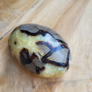 Septarie Handsteen nr.1