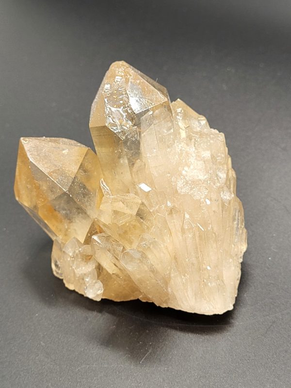 Citrien Cluster nr.4
