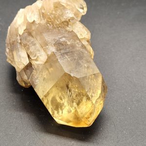 Citrien Cluster nr.5 - Afbeelding 2