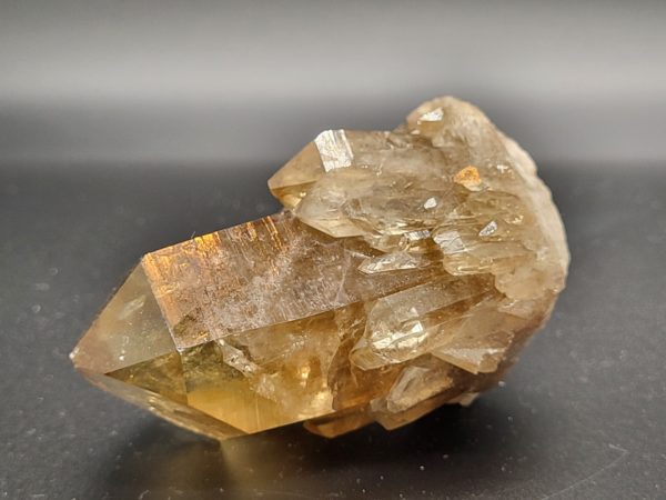 Citrien Cluster nr.5
