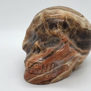 Honing Calciet Schedel - Afbeelding 3