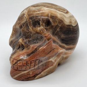 Honing Calciet Schedel