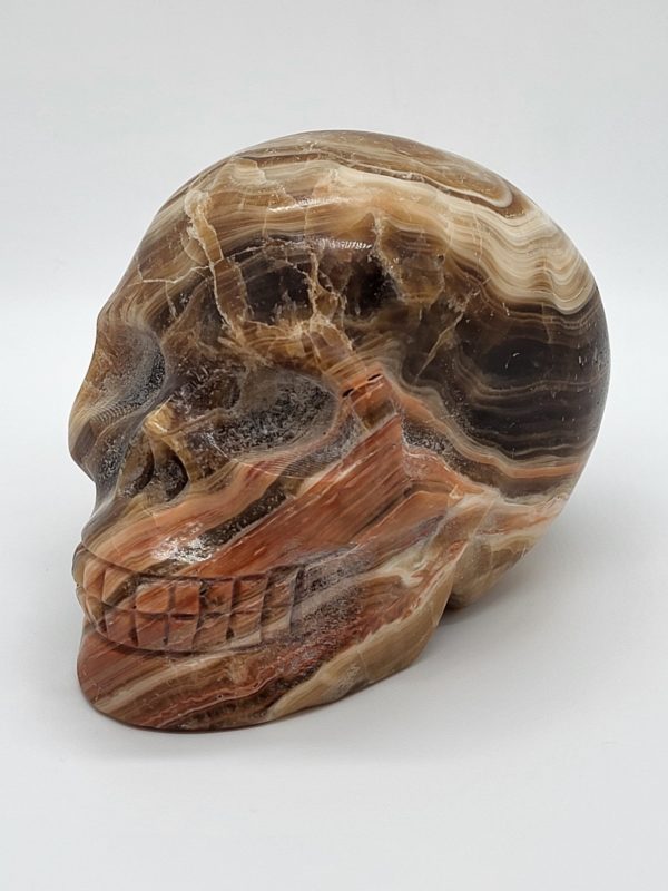 Honing Calciet Schedel