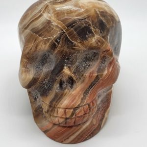 Honing Calciet Schedel - Afbeelding 2