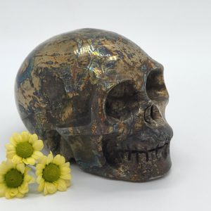 Pyriet Schedel - Afbeelding 4