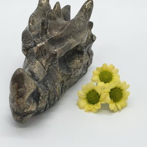 Pyriet Draken Schedel nr.2 - Afbeelding 2