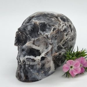 Sfaleriet Schedel maat M nr.1