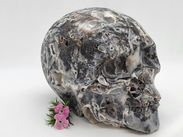 Sfaleriet Schedel maat XL nr.2