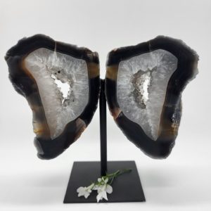 Agaat vlinder op standaard nr.3