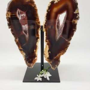 Agaat vlinder op standaard nr.4