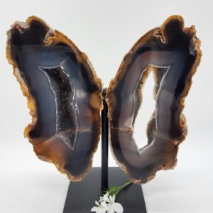 Agaat vlinder op standaard nr.2