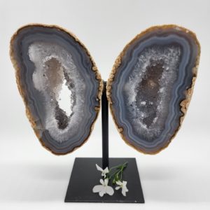 Agaat vlinder op standaard nr.5